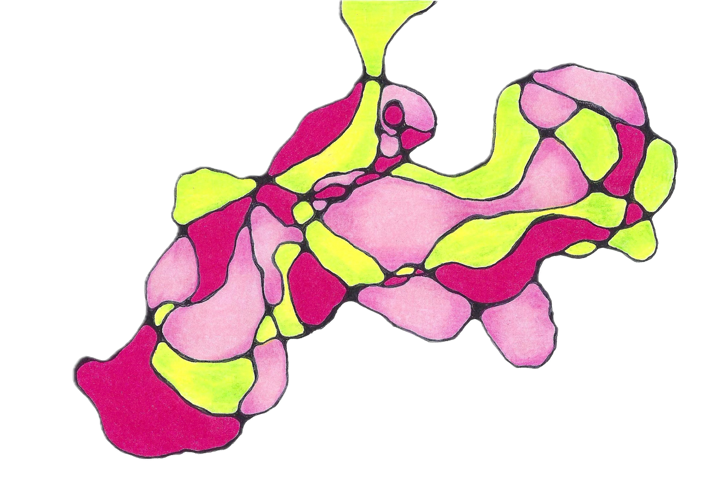 The Deep Processing NeuroMap™ Commission