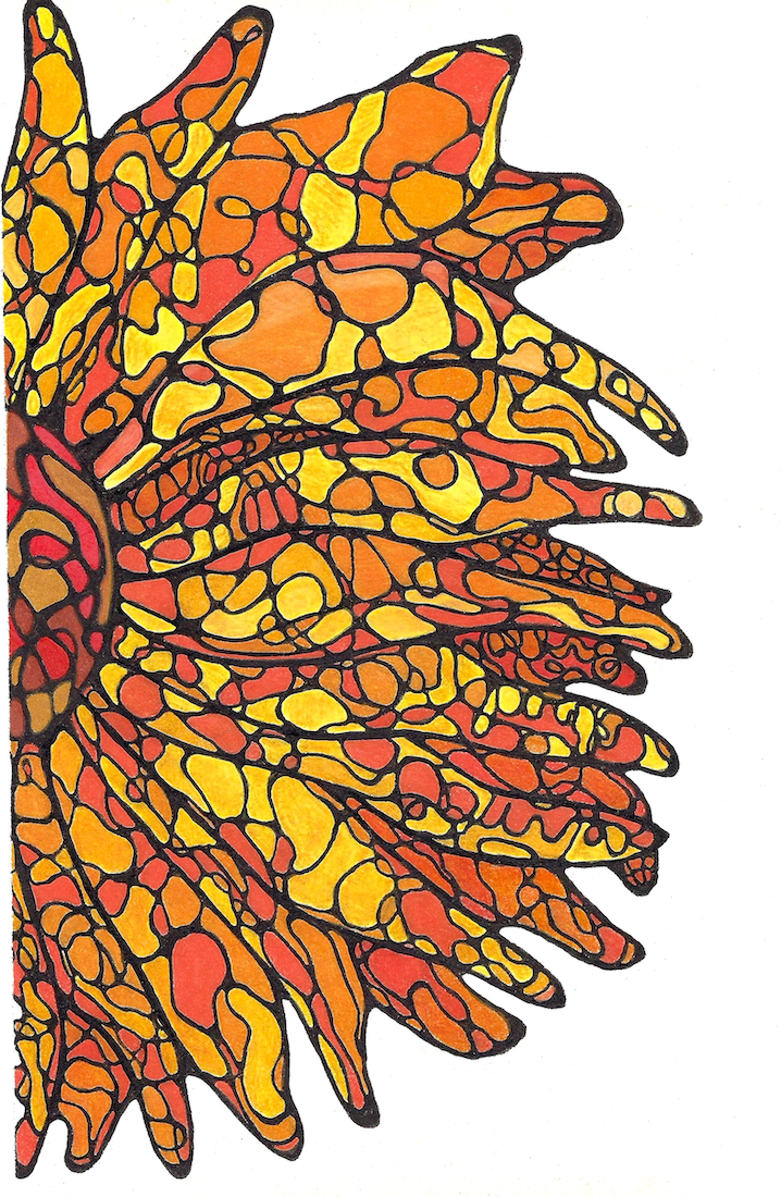 Hand-inked Neural Mapping™ by Dawn Roeske in the shape of a sunflower, with flowing black ink lines and cells filled in warm reds, oranges, and yellows -- somatic illustration for emotional regulation.